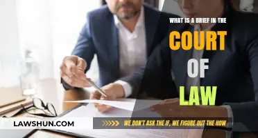 Understanding Legal Briefs: A Courtroom Essential Explained Simply