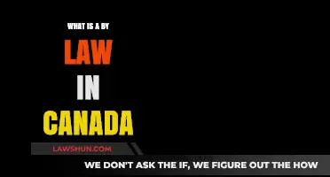 Understanding Canadian Bylaws: What You Need to Know