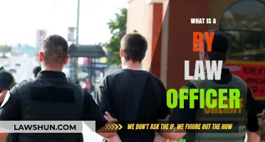 Understanding the Role and Responsibilities of a By-Law Officer