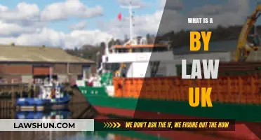 Understanding UK Bylaws: A Guide