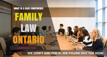 Case Conferences: Family Law's Secret Weapon