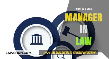 Case Managers: Legal Support Heroes