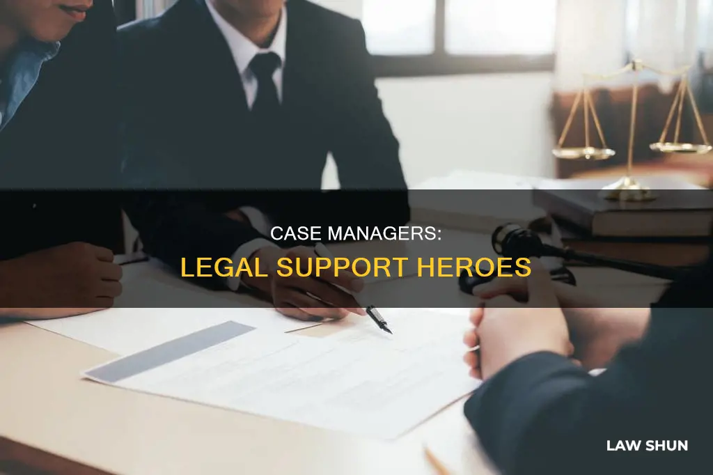 what is a case manager in law