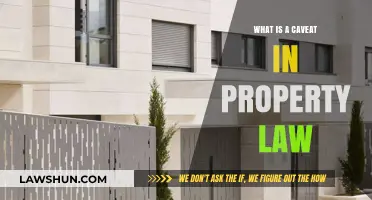 Understanding Caveats in Property Law: Essential Legal Protections Explained