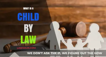 Understanding Legal Definitions: What Constitutes a Child by Law?