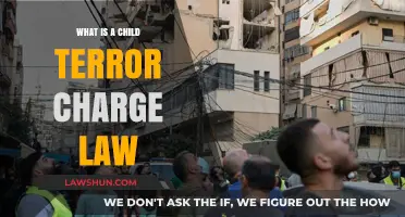 Understanding Child Terror Charge Laws: Legal Implications and Consequences Explained