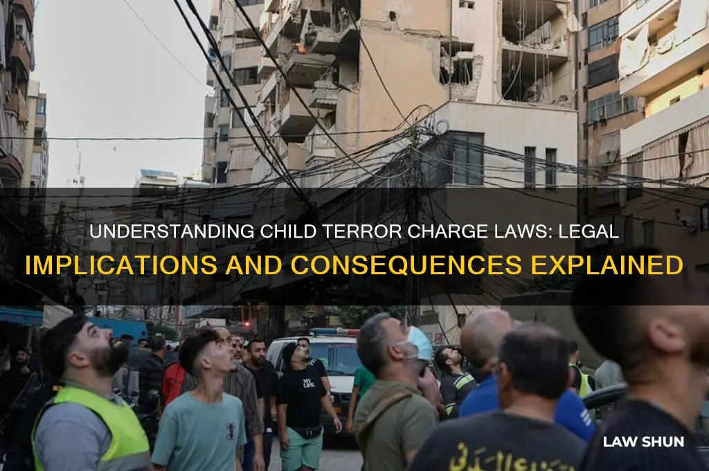 what is a child terror charge law