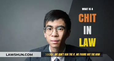 Understanding Legal Jargon: What Constitutes a Chit in Law?
