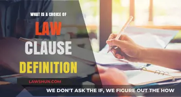 Understanding Choice of Law Clauses: Definition and Legal Implications