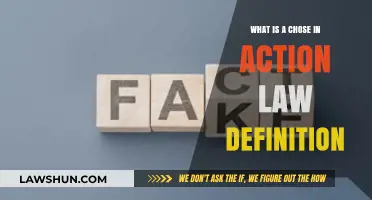 Understanding Chose in Action: Legal Definition and Practical Implications