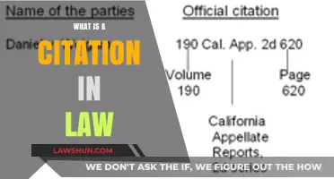 Understanding Legal Citations: A Guide for Law Students and Professionals