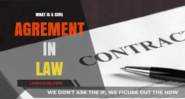 Understanding Civil Agreements: Legal Basics and Practical Applications in Law