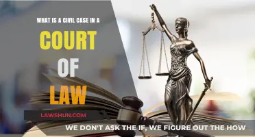 Civil Cases: Understanding the Court's Role