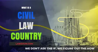 Understanding Civil Law Countries: Legal Systems and Key Characteristics