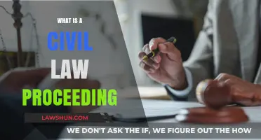 Understanding Civil Law Proceedings: A Comprehensive Guide for Beginners