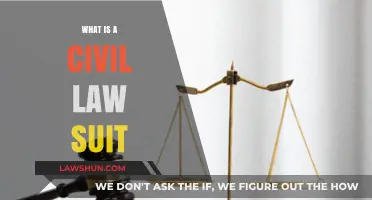 Understanding Civil Lawsuits: A Comprehensive Guide to Legal Claims