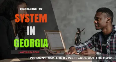 Understanding Georgia's Civil Law System: Key Principles and Practices