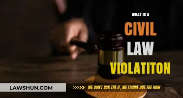 Understanding Civil Law Violations: Causes, Consequences, and Legal Remedies