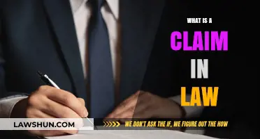 Understanding Legal Claims: A Comprehensive Guide to Assertion in Law