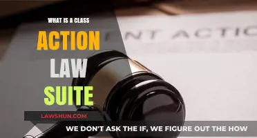 Understanding Class Action Lawsuits: A Comprehensive Guide for Plaintiffs