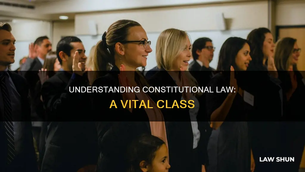 what is a class on constitutional law