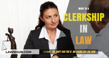 Exploring the Role and Responsibilities of a Law Clerkship