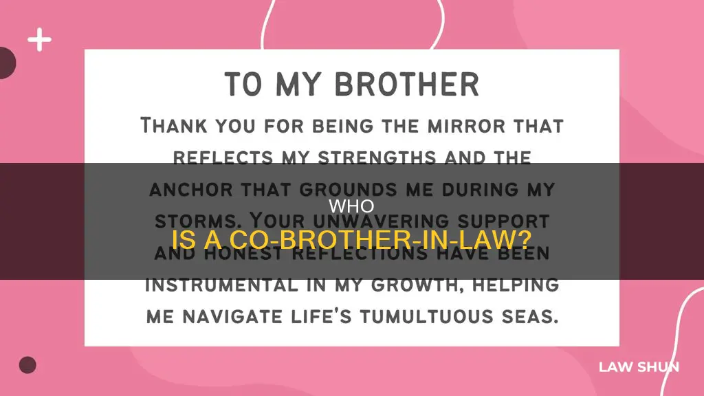 what is a co brother in law