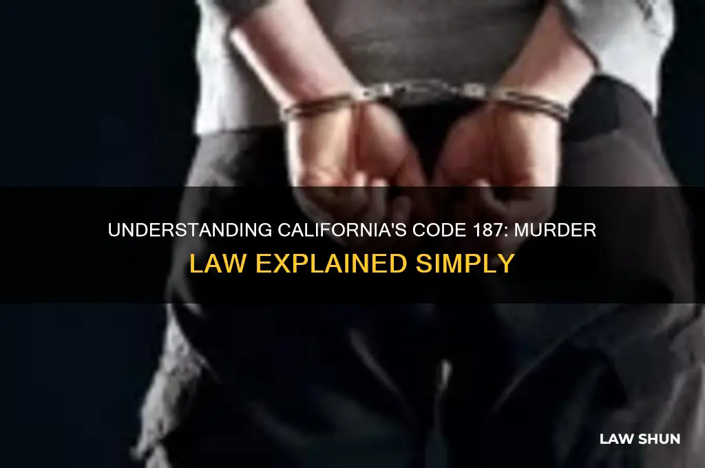 what is a code 187 ca law