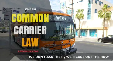 Carrier Law: Understanding Common Carrier Status