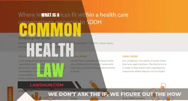 Health Law Basics: Understanding Common Health Legislation