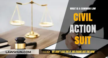 Civil Action Suits: Common Law Explained