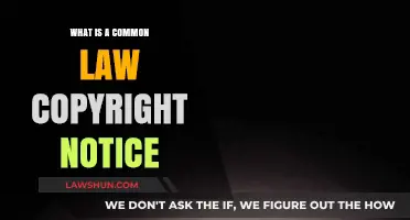 Understanding Common Law Copyright Notices