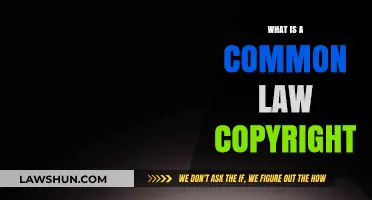 Understanding Common Law Copyrights: Ownership and Protection
