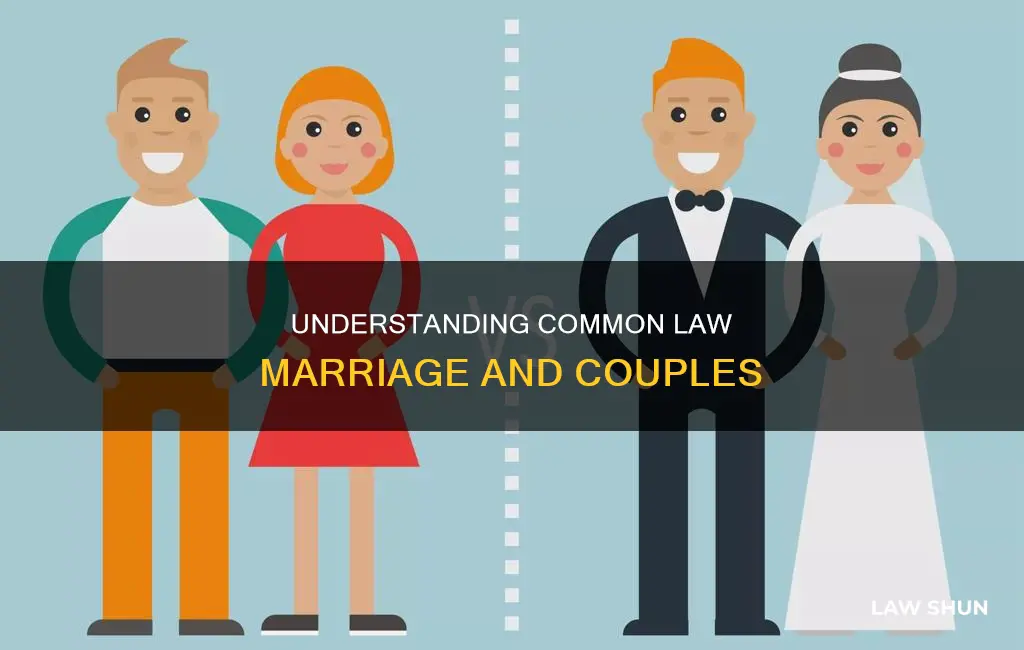 what is a common law couple
