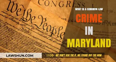 Understanding Common Law Crimes in Maryland