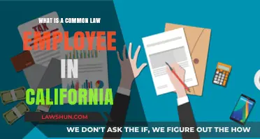 Understanding California's Definition of Common Law Employees