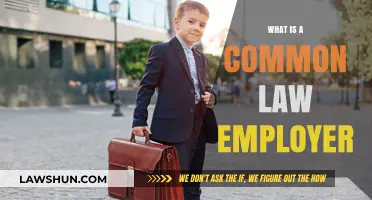 Understanding Common Law Employers: Definition and Rights