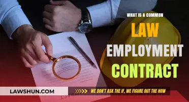 Understanding Common Law Employment Contracts