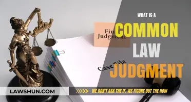 Understanding Common Law Judgment and Its Impact