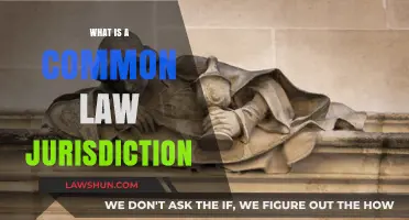 Understanding Common Law: Its Influence and Reach