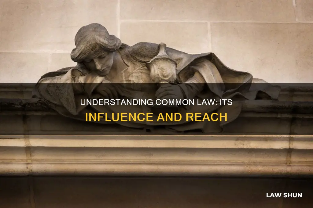 what is a common law jurisdiction