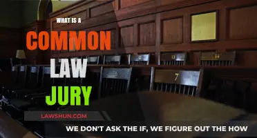 Understanding Common Law Juries: Their Role and Significance