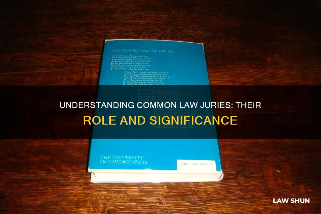 what is a common law jury