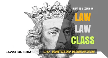 Common Law: Exploring the Legal Class