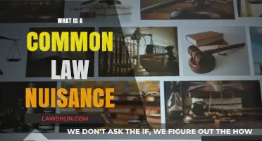 Understanding Common Law Nuisance Claims