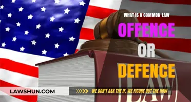 Understanding Common Law Offences and Defences