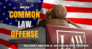 Understanding Common Law Offenses: Definition and Examples
