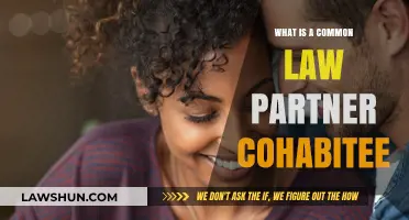 Understanding Common-Law Partner Rights and Benefits