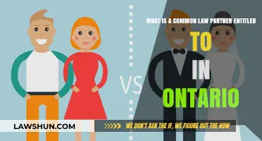 Understanding Common Law Partner Entitlements in Ontario