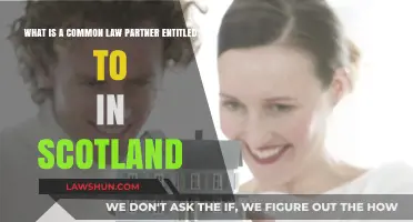 Understanding Entitlements of Common-Law Partners in Scotland